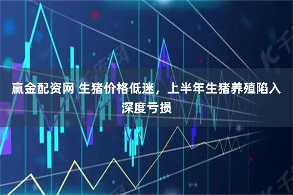 赢金配资网 生猪价格低迷,上半年生猪养殖陷入深度亏损